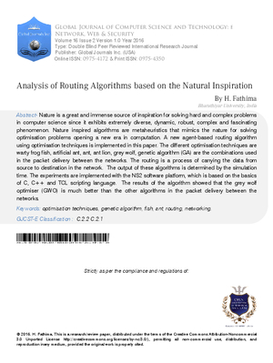 Analysis of Routing Algorithms based on the Natural Inspiration